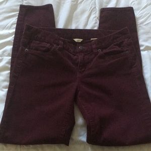 Corduroy skinny pants